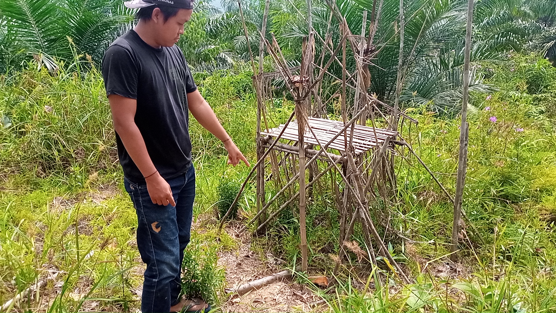 Kesakralan Adat Tidak Bernilai di Mata Perusahaan Sawit