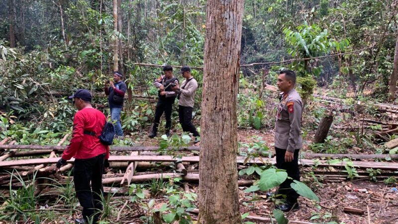 Laksanakan Patroli dan Razia, Polres Bengkayang Antisipasi illegal logging