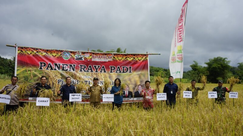 Panen Padi di Banyuke Hulu, Samuel Serahkan Alsintan dan Santunan BPJS Ketenagakerjaan