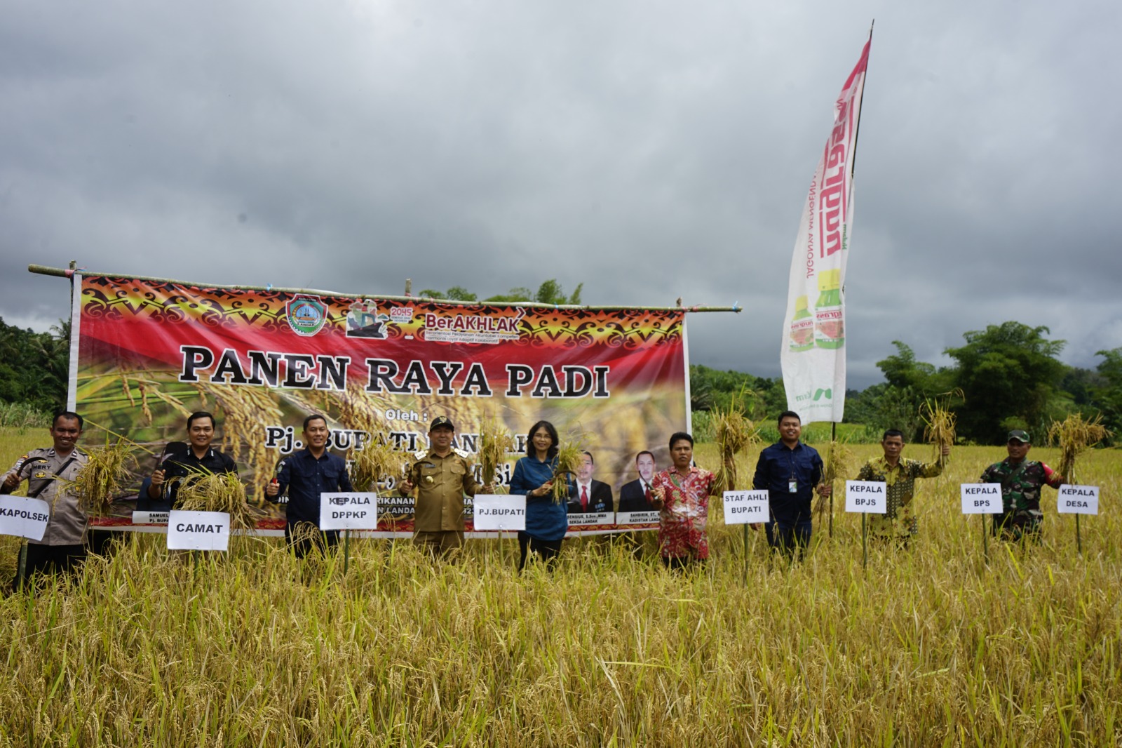 Panen Padi di Banyuke Hulu, Samuel Serahkan Alsintan dan Santunan BPJS Ketenagakerjaan