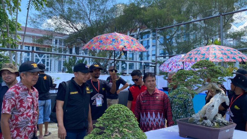 Pameran dan Kontes Bonsai, Pemkab Landak Harap Bisa Jadi Salah Satu Penggerak Ekonomi Kreatif