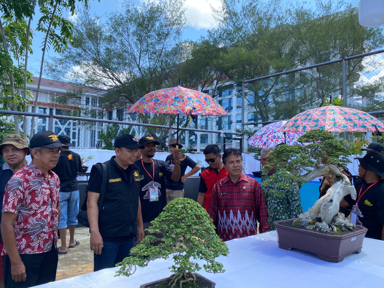 Pameran dan Kontes Bonsai, Pemkab Landak Harap Bisa Jadi Salah Satu Penggerak Ekonomi Kreatif