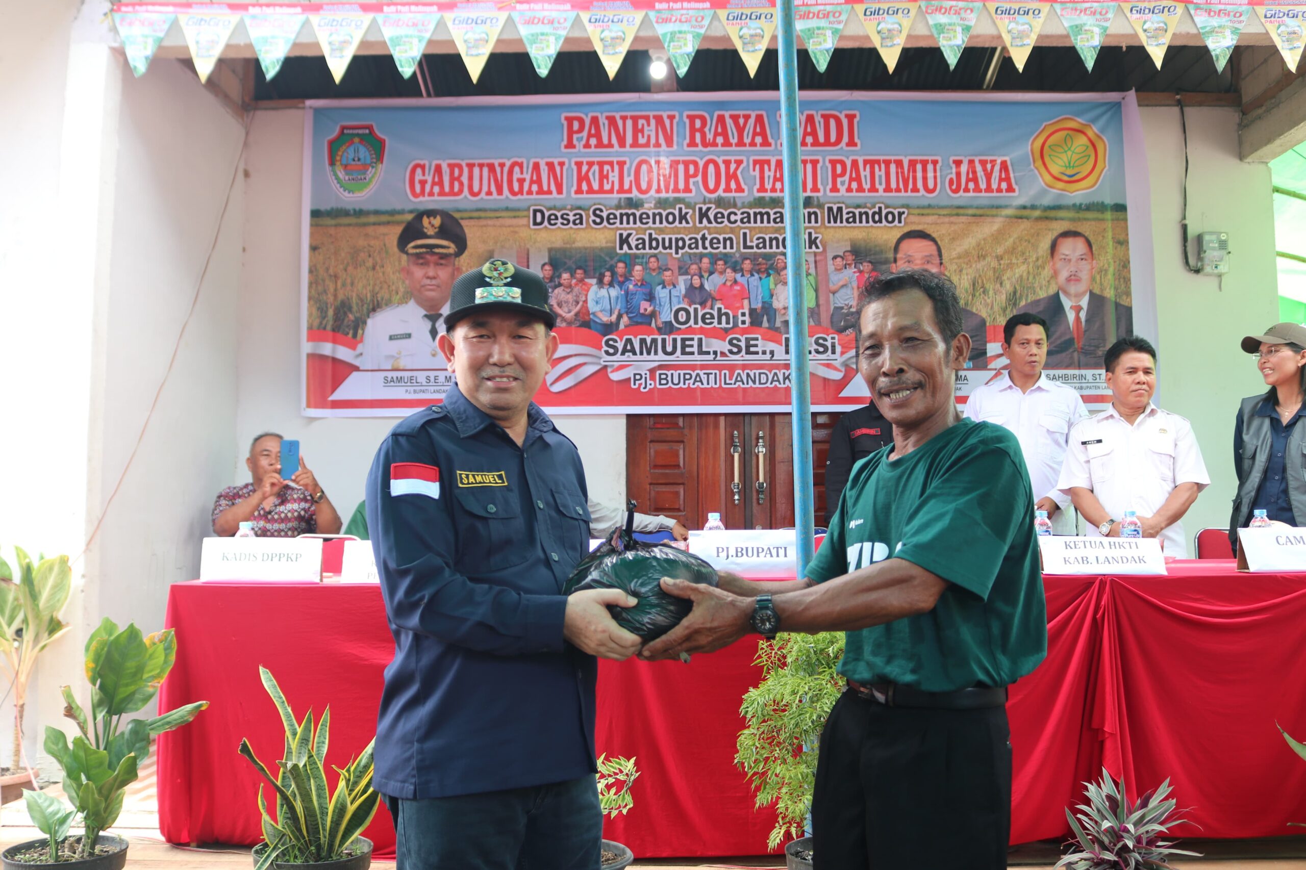 Samuel Harap Para Petani Tetap Semangat, Saat Hadiri Panen Raya Padi di Desa Semenok-Mandor