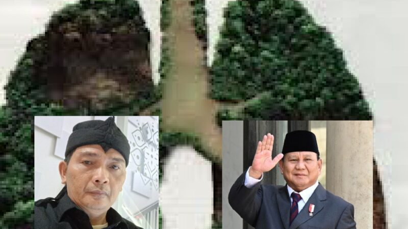 DPP LSM MAUNG Desak Presiden Prabowo Terbitkan Keppres Audit Terpadu Hutan Kalbar