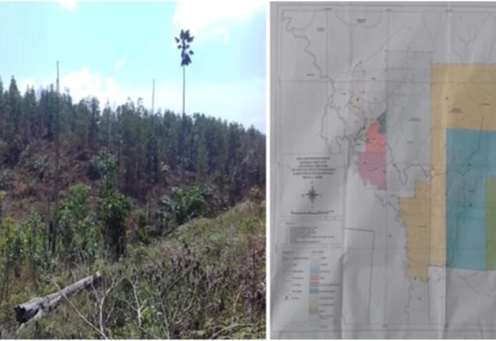Satgas Inti Prabowo Kecam Perusahaan Perusak Hutan, Desak Negara Bertindak Tegas