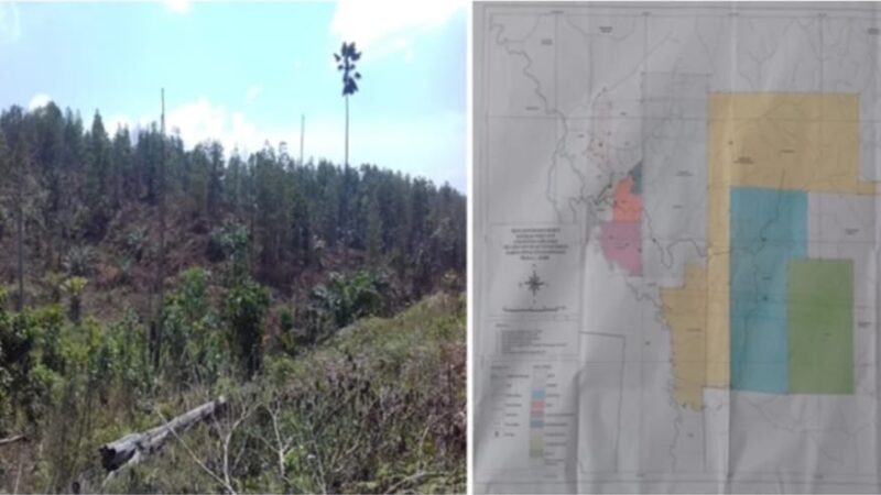 Satgas Inti Prabowo Kecam Perusahaan Perusak Hutan, Desak Negara Bertindak Tegas