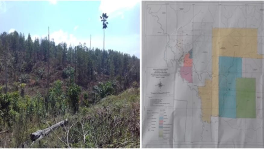 Satgas Inti Prabowo Kecam Perusahaan Perusak Hutan, Desak Negara Bertindak Tegas