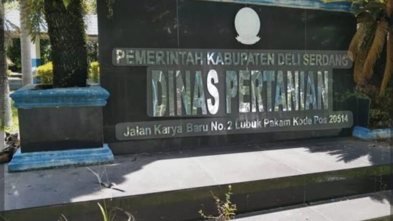 Diduga Sabotase Ketahanan Pangan, PLT Kabid PSP Deli Serdang Disorot!