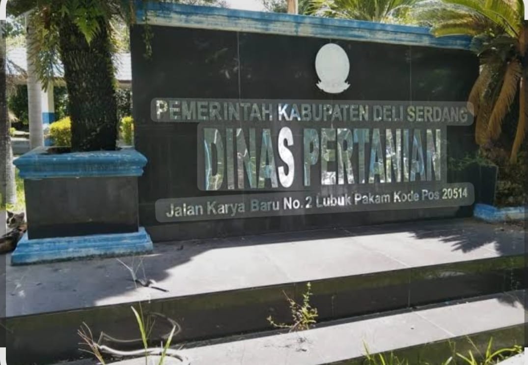 Diduga Sabotase Ketahanan Pangan, PLT Kabid PSP Deli Serdang Disorot!
