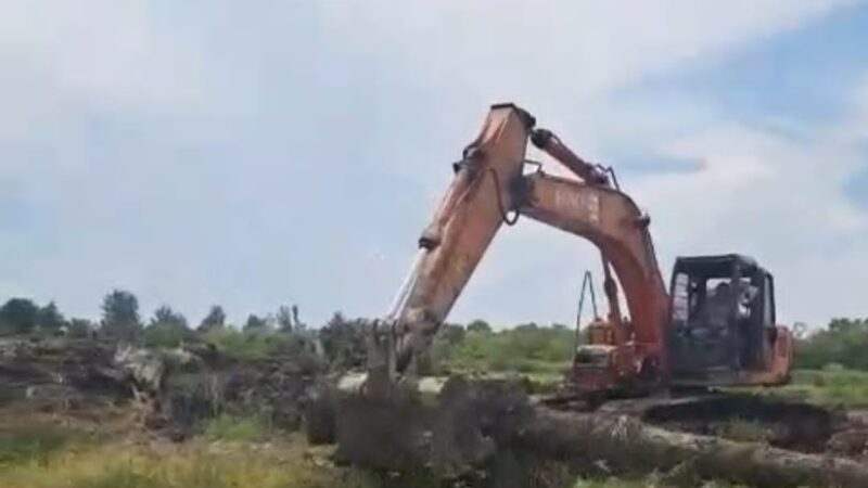 Polda Sumut Diminta Selamatkan Lahan Milik Negara dari Residivis Nakko Sitanggang di Sergai