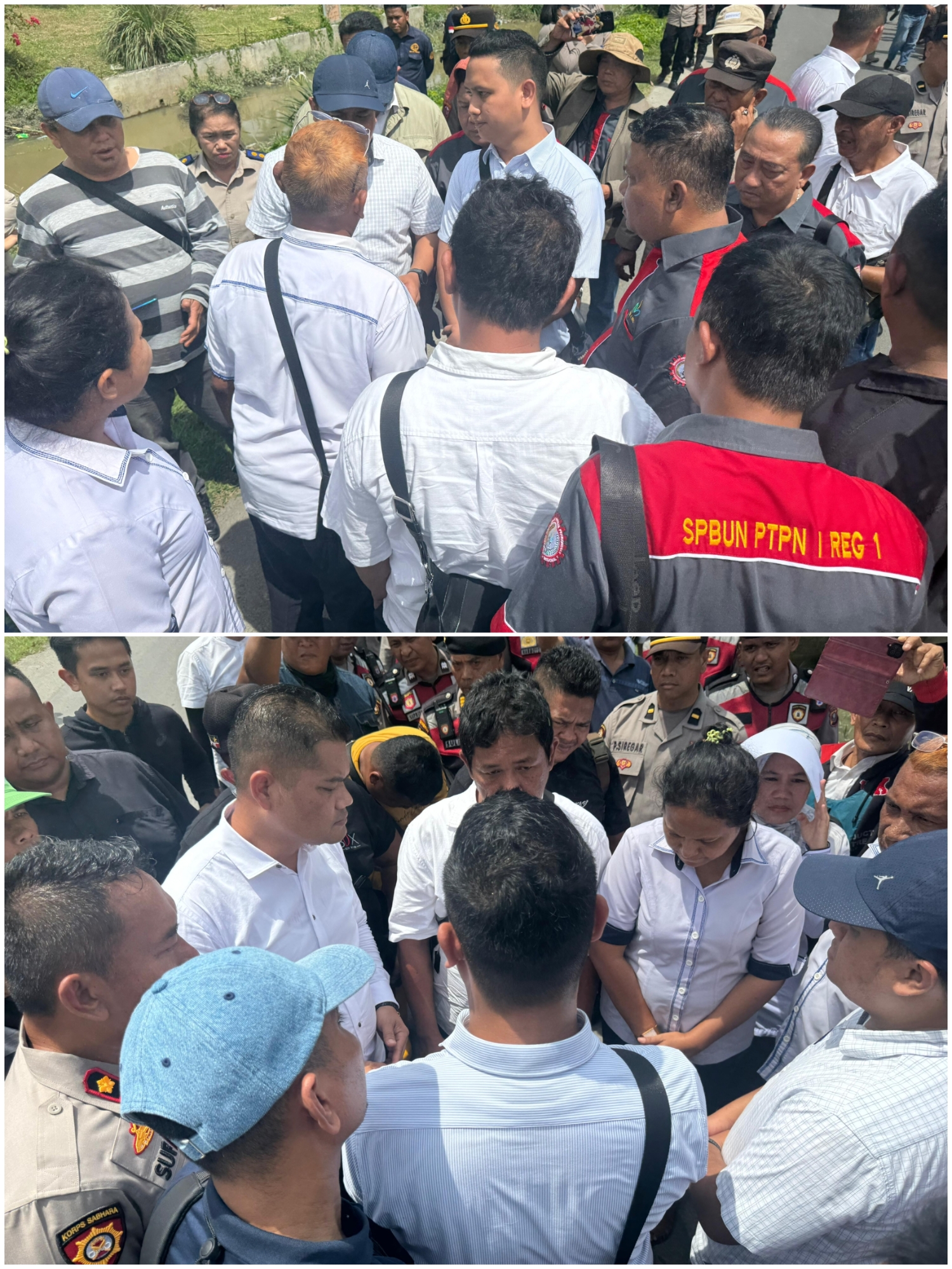 PTPN I Regional 1 Gagalkan Pelaksanaan Konstatering di Areal HGU 113/Sidodadi