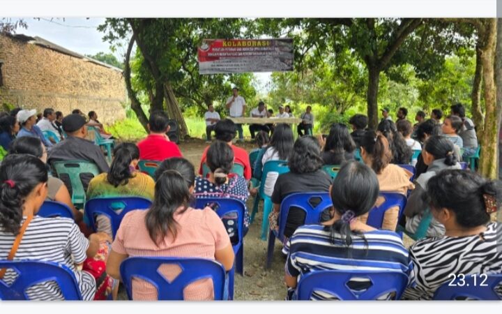 Dukung Ketahanan Pangan, Pemerintah Diminta Cepat Atasi Penyebaran Flu Babi