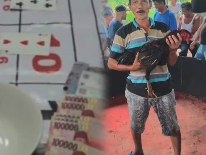 Judi Dadu & Sabung Ayam milik “Cabak” yang berada di Kelurahan Limau Sundai, Kec. Binjai Barat, Kota Binjai Kebal Hukum