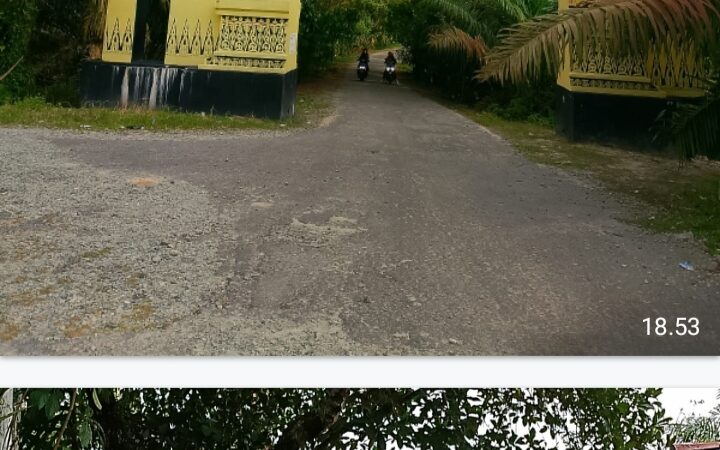 Aset Provinsi Kalimantan Barat, Makam Juang Mandor Sangat Memprihatinkan