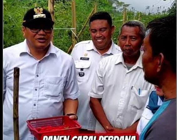 Bupati Genjot Program Unggulan Ketahanan Pangan, Deli Serdang Raih Prestasi Inflasi Terendah Per Januari 2026