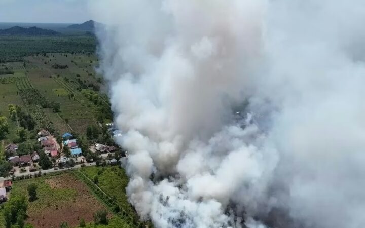 Karhutla Di Desa Galang Kabupaten Mempawah, Sudah Ada Korban Jiwa