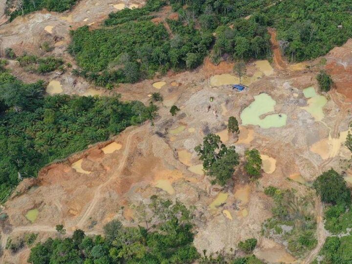 WALHI SUMUT Dukung Aparat Penegak Hukum Tindak Tegas Aktivitas Tambang Ilegal.