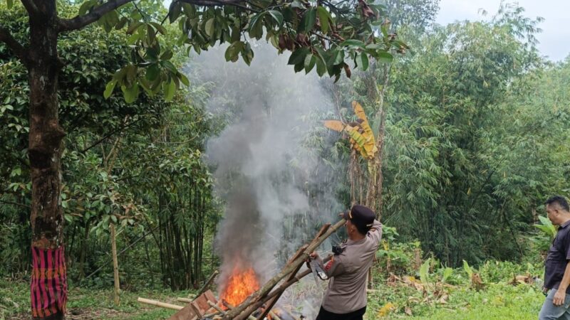 Polsek Pancur Batu Gerebek Sarang Narkoba, Dua Pengguna Sabu Diamankan dan Barak Dihancurkan