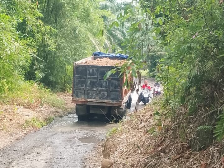 Proyek PIC Diduga Gunakan Material Tanah Timbun Ilegal, Dirkrimsus Poldasu Bungkam