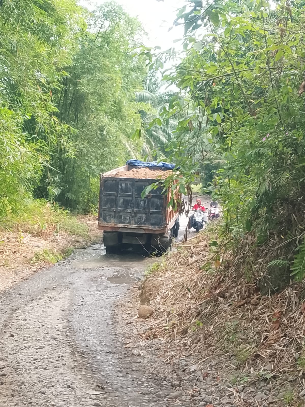 Proyek PIC Diduga Gunakan Material Tanah Timbun Ilegal, Dirkrimsus Poldasu Bungkam