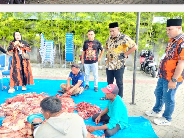 Pemuda Pancasila Deli Serdang Sembelih 9 Hewan Kurban