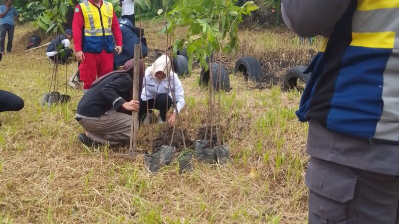 PT PP (Persero) Tbk Gencarkan Gerakan Penanaman 5.000 Pohon, Dukung Pembangunan BRT Mebidang Berwawasan Lingkungan