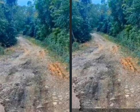 Bertahun-Tahun Rusak, Jalan Poros Kampung Nyarengseng–Cikarae Dikeluhkan Warga