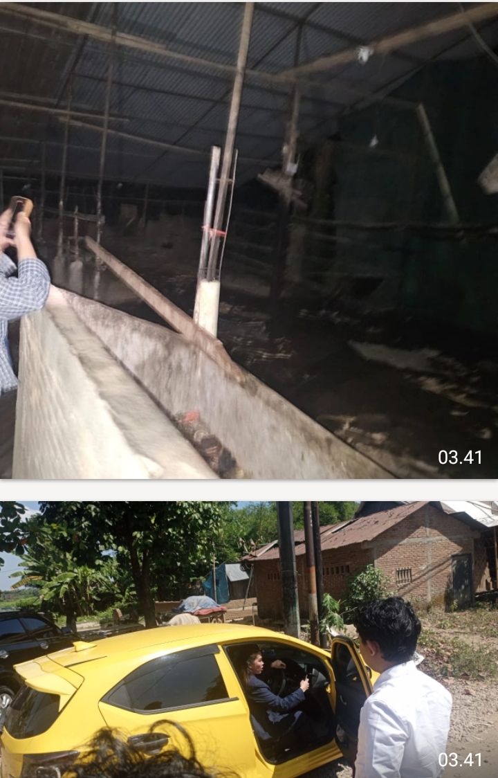 Usut Dugaan Penimbunan Solar Bersubsidi di Gowa, Ernawati Dikeroyok, Difitnah, Barang Berharga Dirampas, Bahkan Nyawanya Terancam Dibakar