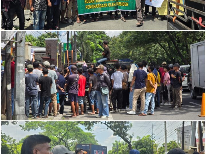 Himpunan Organisasi Transparansi dan Mencegah Aksi Korupsi (HOTMA) Mendukung Peryataan Hotman Paris Hutapea