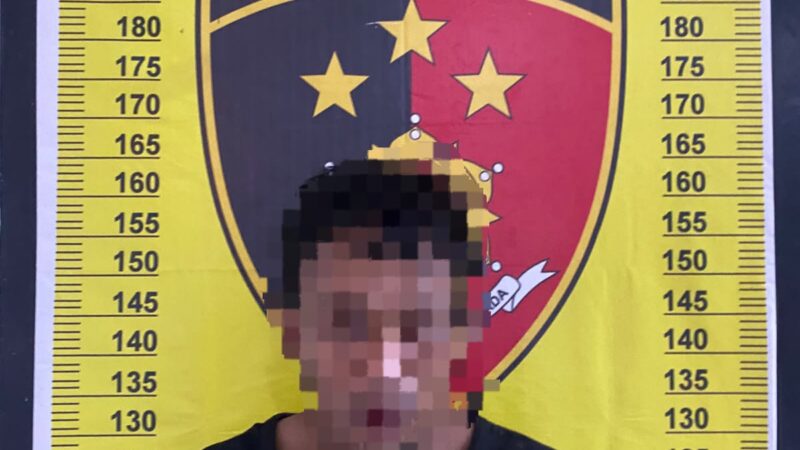 Polres Tapanuli Selatan Ungkap Kasus Pembunuhan Disertai Kekerasan Seksual terhadap Anak, Pelaku Ditangkap