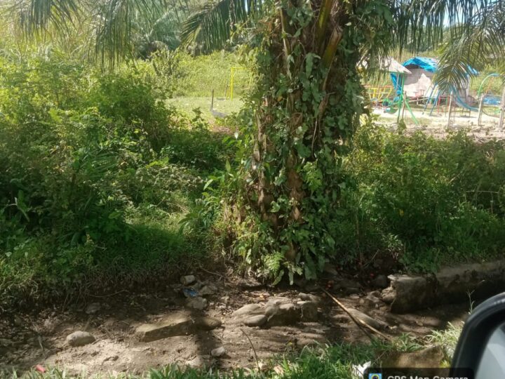 Dirikan Rumah Permanen Di Lahan Milik Almarhum And Halim Harahap Pasutri Dilaporkan Ke Poldasu