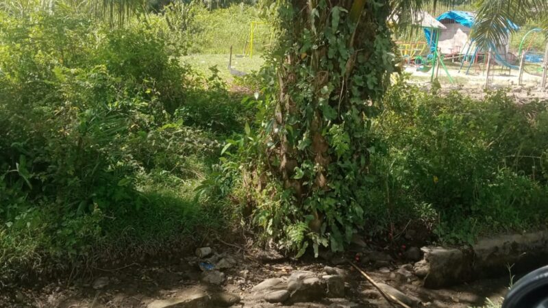 Dirikan Rumah Permanen Di Lahan Milik Almarhum And Halim Harahap Pasutri Dilaporkan Ke Poldasu