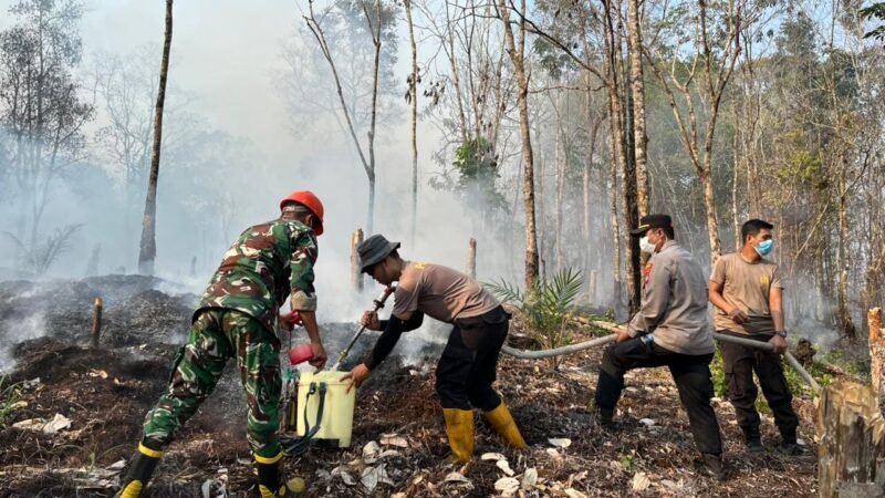Gerak Cepat Tim Gabungan Jinakkan Karhutla di Dusun Maro’o Landak, 2 Hektare Lahan Terbakar