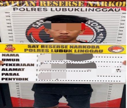 Satresnarkoba Polres Lubuk Linggau Berhasil Mengamankan Seorang Tersangka Berinisial MF