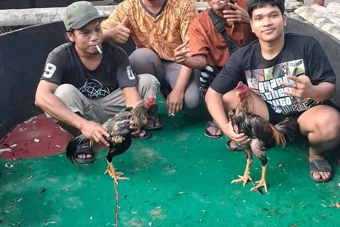 Menakar Ketegasan Polrestabes Medan: Dugaan Judi Dadu & Sabung Ayam ‘Edy alias Sembiring’ dan Alih Fungsi Lahan Eks-Perkebunan Menanti Penindakan