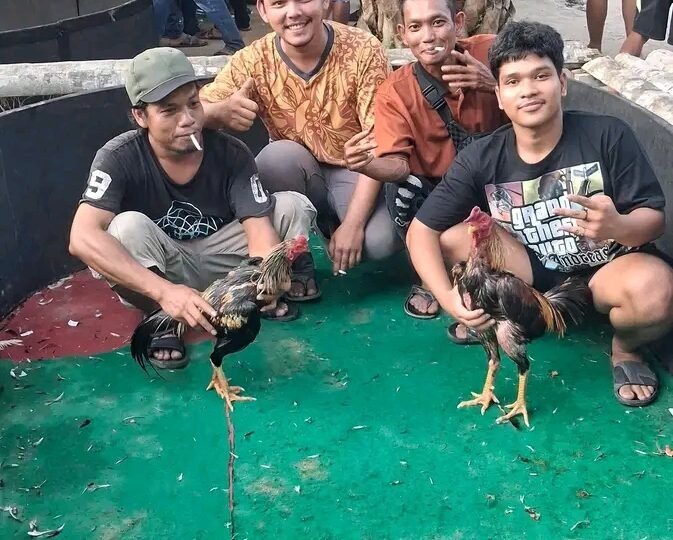 Menakar Ketegasan Polrestabes Medan: Dugaan Judi Dadu & Sabung Ayam ‘Edy alias Sembiring’ dan Alih Fungsi Lahan Eks-Perkebunan Menanti Penindakan