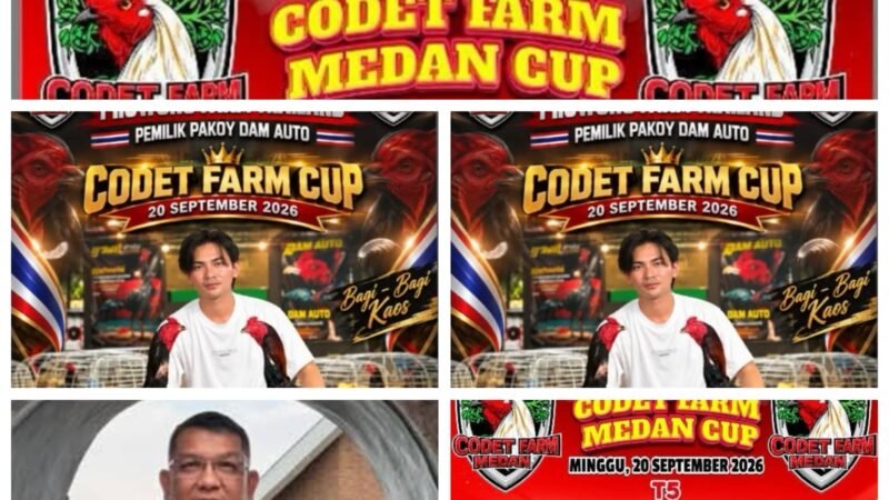 Codet dan Aan Gelar Perjudian Laga Ayam di Kota Binjai, Polisi Diduga Tutup Mata