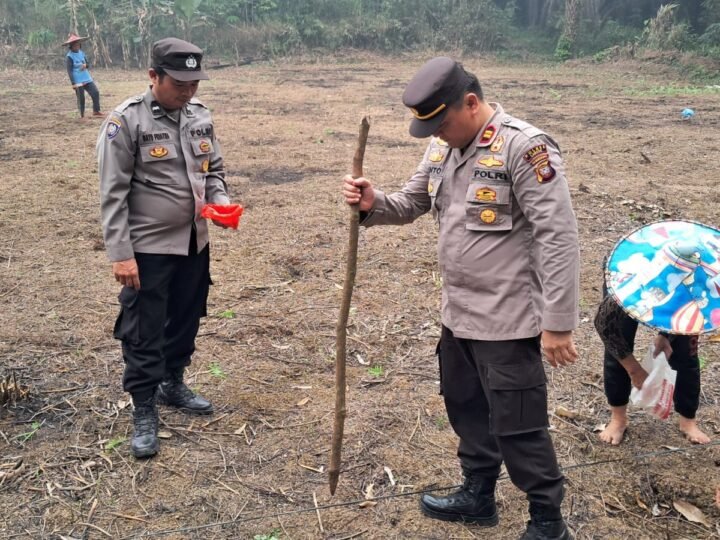 Satu Hektare Jadi Harapan, Polsek Ngabang Bersama Petani Tanam Jagung di Desa Angan Tembawang Jelimpo