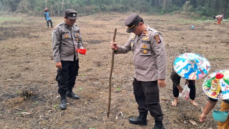 Satu Hektare Jadi Harapan, Polsek Ngabang Bersama Petani Tanam Jagung di Desa Angan Tembawang Jelimpo