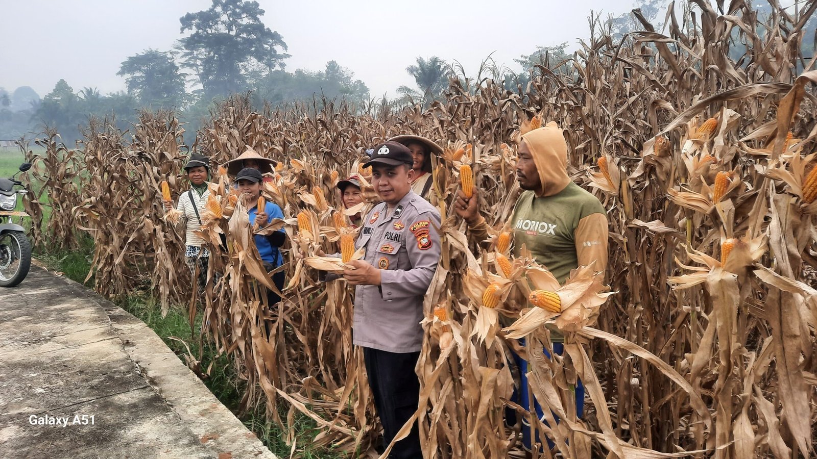 Panen 6 Ton Jagung, Polsek Sengah Temila Dorong Masyarakat Optimalkan Lahan Produktif
