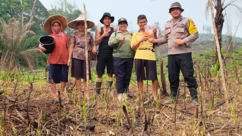 Semangat Tak Kenal Cuaca, Bhabinkamtibmas dan Petani Serta PPL Kompak Tanam Jagung di Pawis Hilir