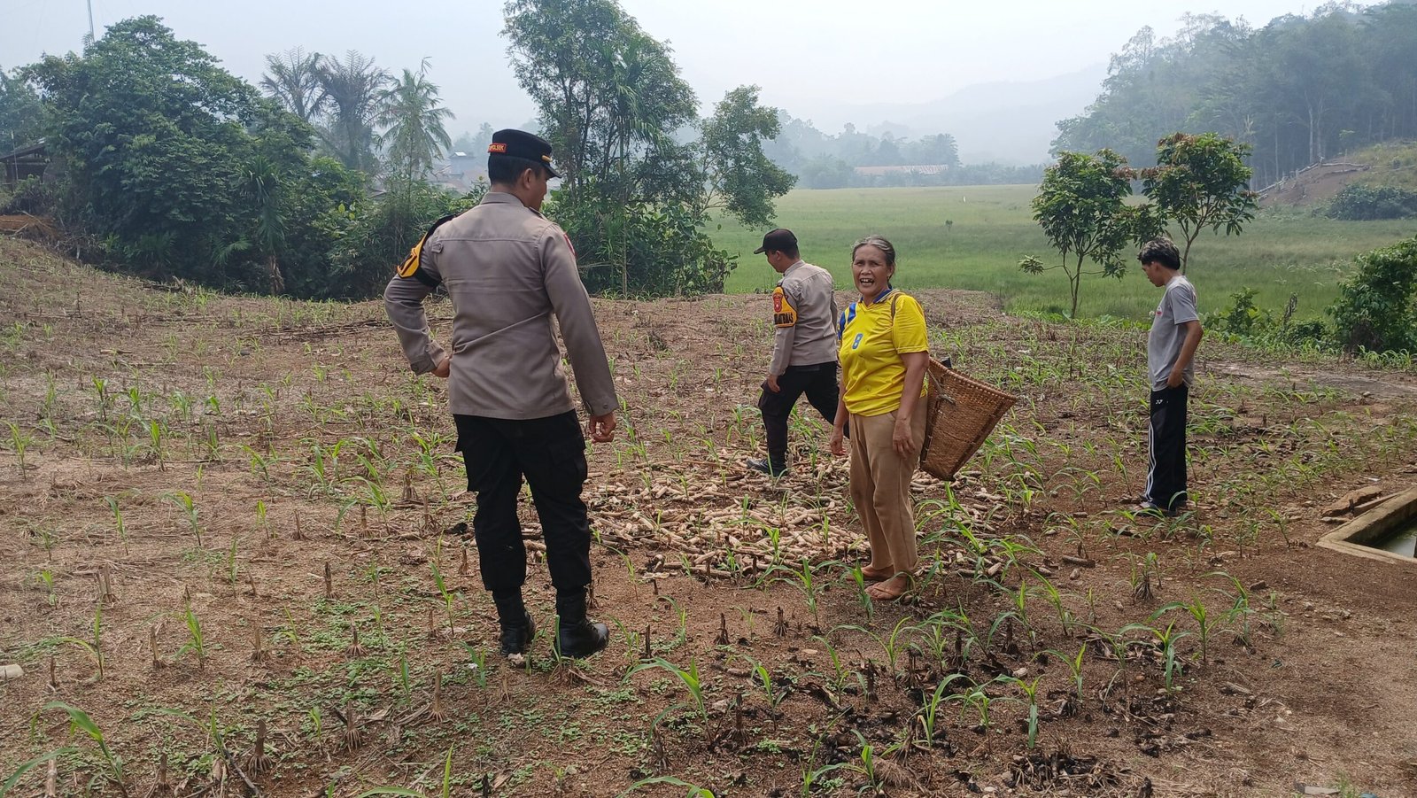 Kapolsek Menyuke Beserta Bhabinkamtibmas Polsek Menyuke Lakukan Pengecekan Tanaman Jagung