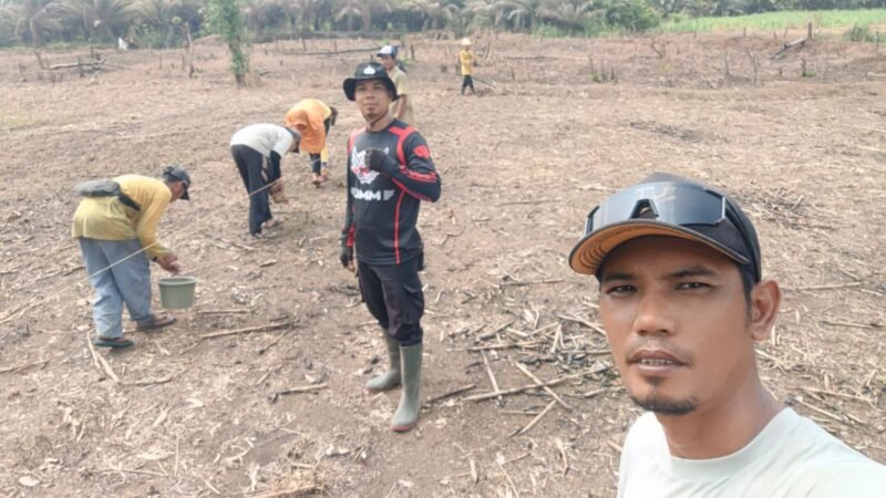 “Dukung Ketahanan Pangan, Polsek Meranti Pantau Progres Tanaman Jagung Mandiri Seluas 2 Hektare”