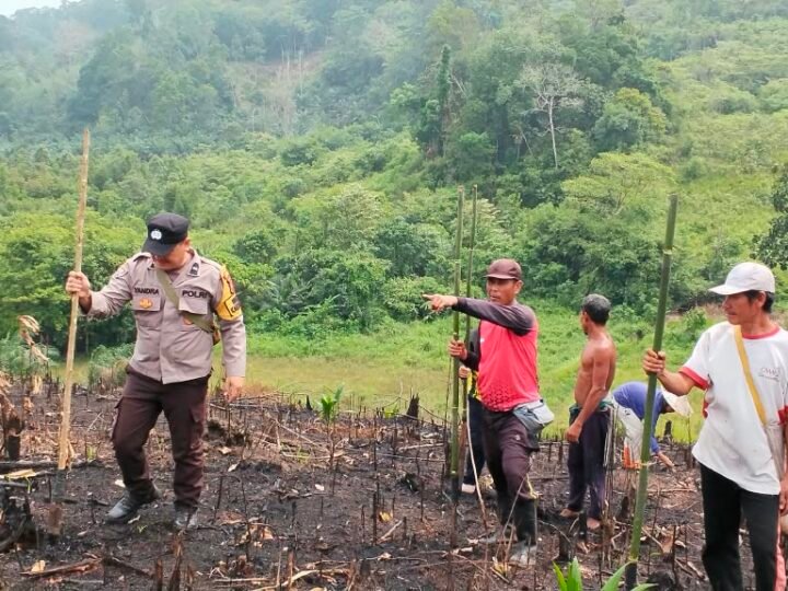 Satu Hektare Penuh Harapan! Bhabinkamtibmas AIPDA A. A. Yandra Tanam Jagung Hibrida BISI-2 di Jelimpo