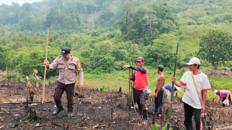 Satu Hektare Penuh Harapan! Bhabinkamtibmas AIPDA A. A. Yandra Tanam Jagung Hibrida BISI-2 di Jelimpo