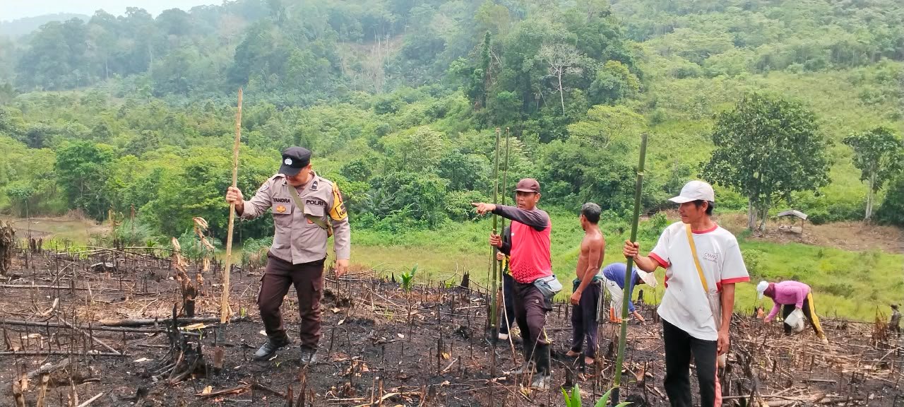 Satu Hektare Penuh Harapan! Bhabinkamtibmas AIPDA A. A. Yandra Tanam Jagung Hibrida BISI-2 di Jelimpo