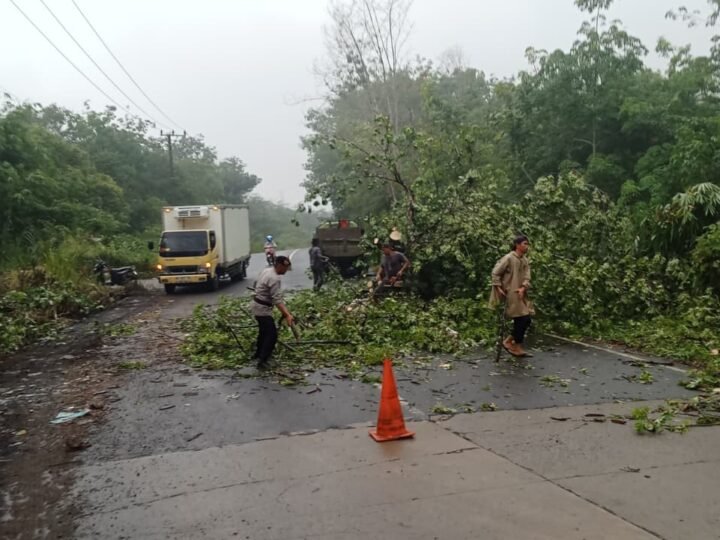 Dampak Hujan Deras Yang Melanda Kota Lubuk Linggau, Sebatang Pohon Tumbang dan Menghalangi Arus Lalu lintas
