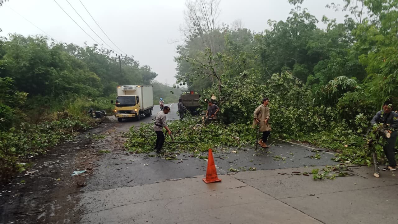 Dampak Hujan Deras Yang Melanda Kota Lubuk Linggau, Sebatang Pohon Tumbang dan Menghalangi Arus Lalu lintas